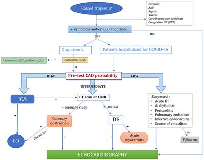 Frontiers | COVID-19 and Acute Coronary Syndromes: Current Data and